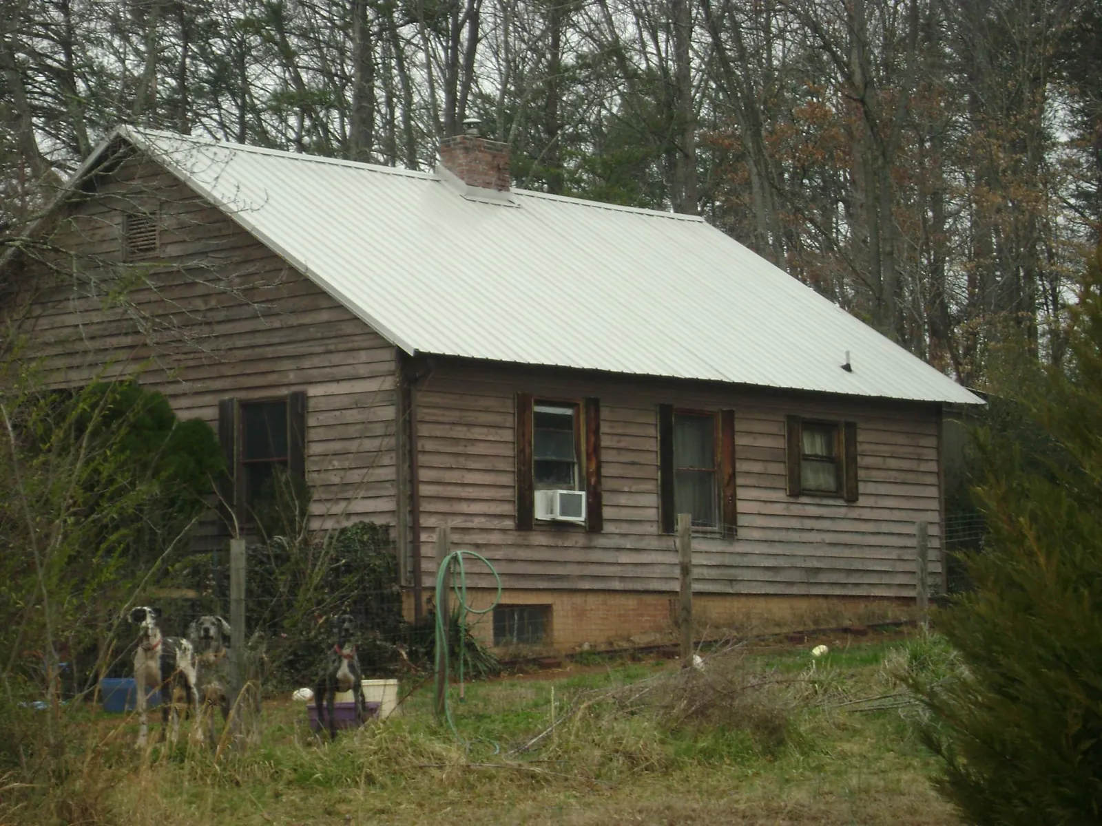 White metal roof on an old wood sided farmhouse, from a Asphalt Shingle Roof Repair job in Kingston Mines